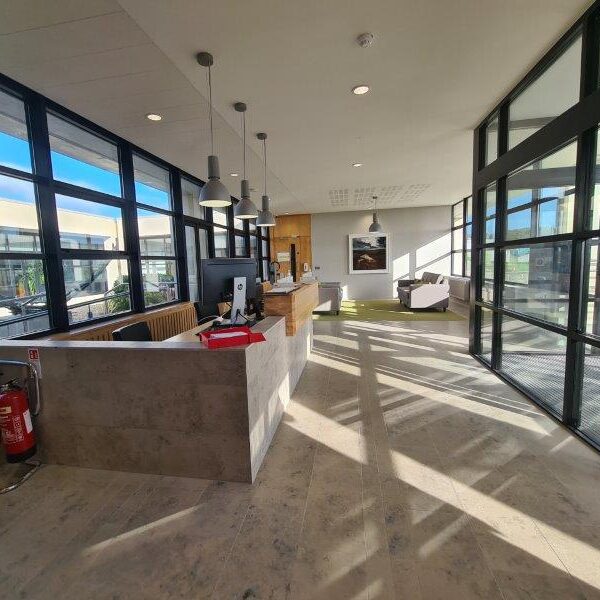 Commercial Renovation