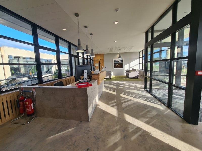 Commercial Renovation